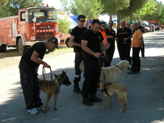 El Servicio de Emergencias 1-1-2 coordinó el rescate de 15 personas perdidas en el monte mientras buscaban setas