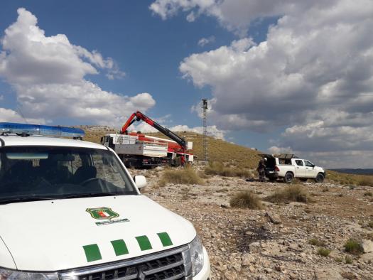 El Gobierno regional realiza formación específica sobre electrocución de avifauna en tendidos eléctricos para Agentes Medioambientales, personal técnico y jurídico