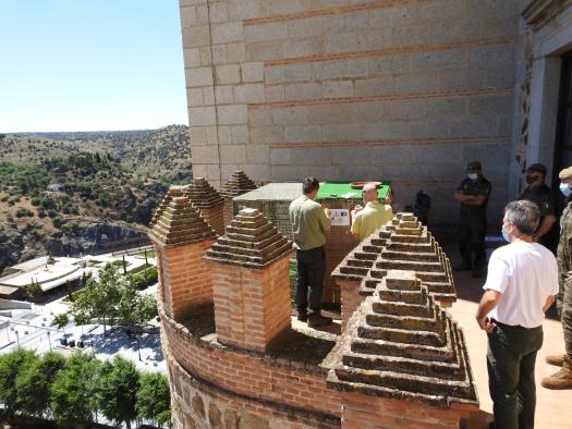 El Gobierno regional reintroduce cuatro pollos de halcón peregrino mediante la técnica de hacking en el Alcázar de Toledo