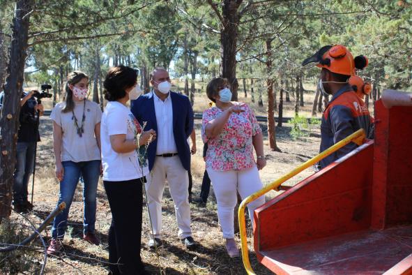 Los profesionales de GEACAM han realizado trabajos de poda y limpieza sobre más de trece hectáreas del monte La Atalaya de Ciudad Real