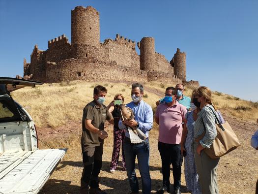 El Gobierno de Castilla-La Mancha actualiza los planes de recuperación y conservación de sus especies protegidas más emblemáticas y promueve dos nuevas protecciones