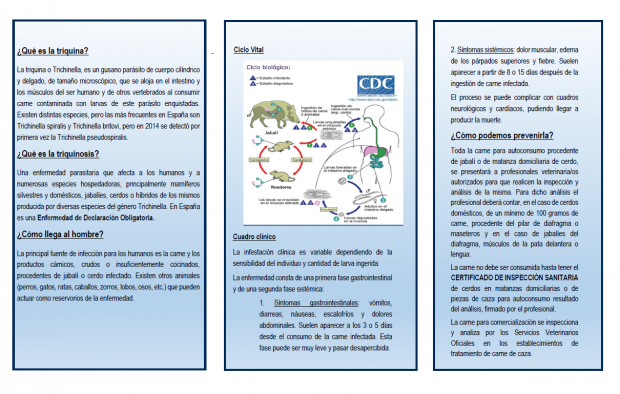 El Gobierno de Castilla-La Mancha difunde un tríptico con recomendaciones sobre cómo prevenir la triquinosis