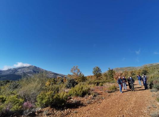 El Gobierno de Castilla- La Mancha organiza más de 30 actividades del programa ‘Vive tu Espacio’ en noviembre y diciembre para disfrutar de los espacios naturales de la región 