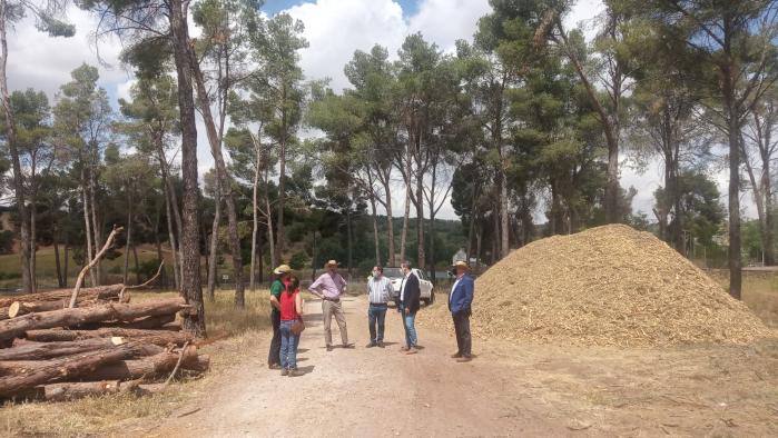 El Gobierno regional destaca la progresiva recuperación de los montes públicos de Toledo tras la inversión de 340.000 euros para paliar los desperfectos causados por Filomena