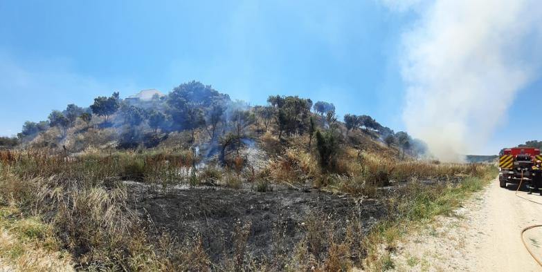 El Gobierno regional ejecuta unas quemas prescritas para la prevención de incendios forestales en las inmediaciones de Escalona 