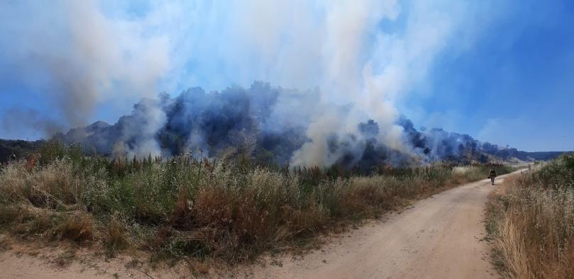 El Gobierno regional ejecuta unas quemas prescritas para la prevención de incendios forestales en las inmediaciones de Escalona 