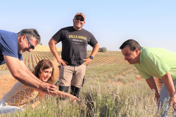 El consejero de Agricultura, Agua y Desarrollo Rural, Francisco Martínez Arroyo, visita los cultivos de aromáticas y girasol del joven agricultor Rodrigo Carrillo, conocido como El Tractorista de Castilla.