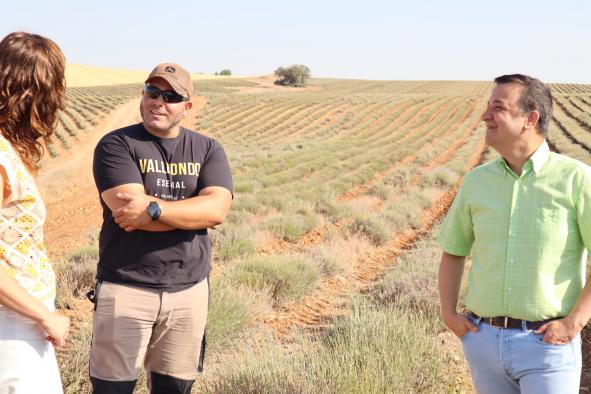 El consejero de Agricultura, Agua y Desarrollo Rural, Francisco Martínez Arroyo, visita los cultivos de aromáticas y girasol del joven agricultor Rodrigo Carrillo, conocido como El Tractorista de Castilla.