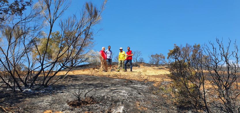 El consejero de Desarrollo Sostenible, José Luis Escudero, informa a los medios de comunicación sobre la evolución de los distintos incendios forestales activos en la región.