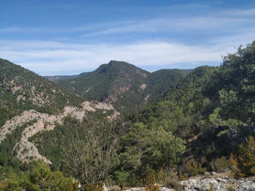 El Gobierno de Castilla-La Mancha celebra el Día Internacional de las Montañas con rutas guiadas gratuitas en los espacios naturales de la región 