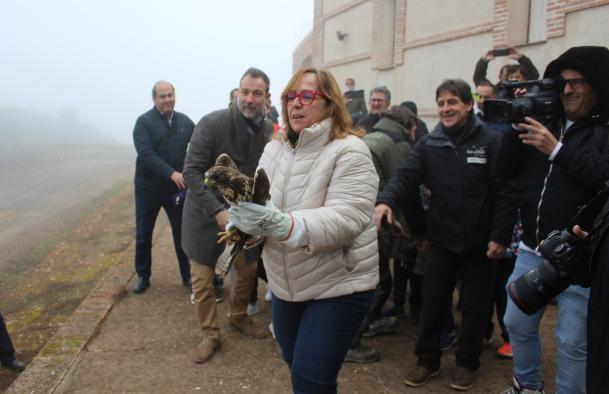 El Gobierno de Castilla-La Mancha libera un ejemplar de busardo ratonero en el entorno de la ermita de San Isidro de Ballesteros de Calatrava