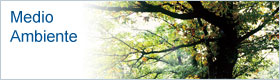 Medio Ambiente Medio Ambiente