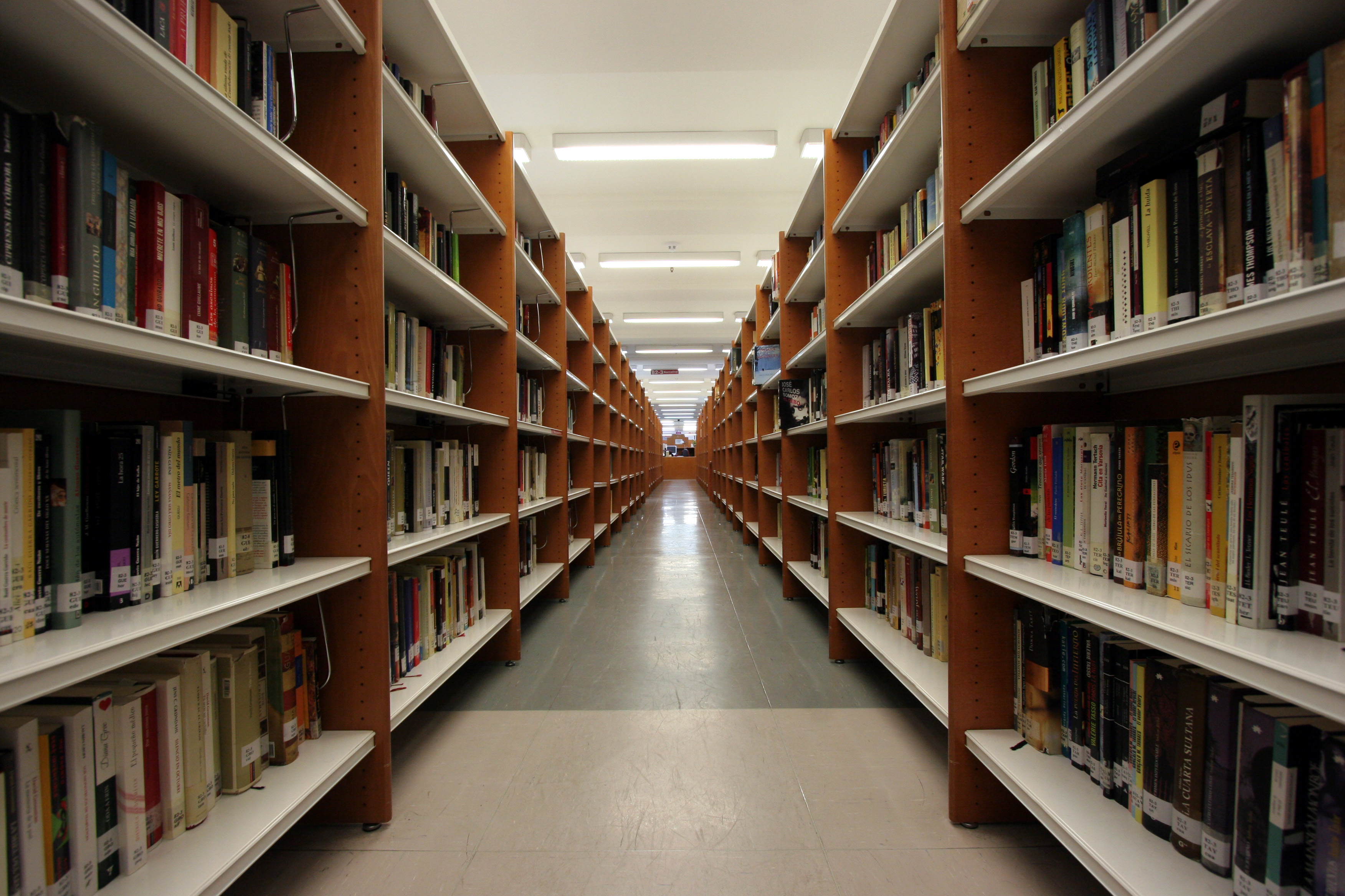 imagen de la noticia imagen de la noticia