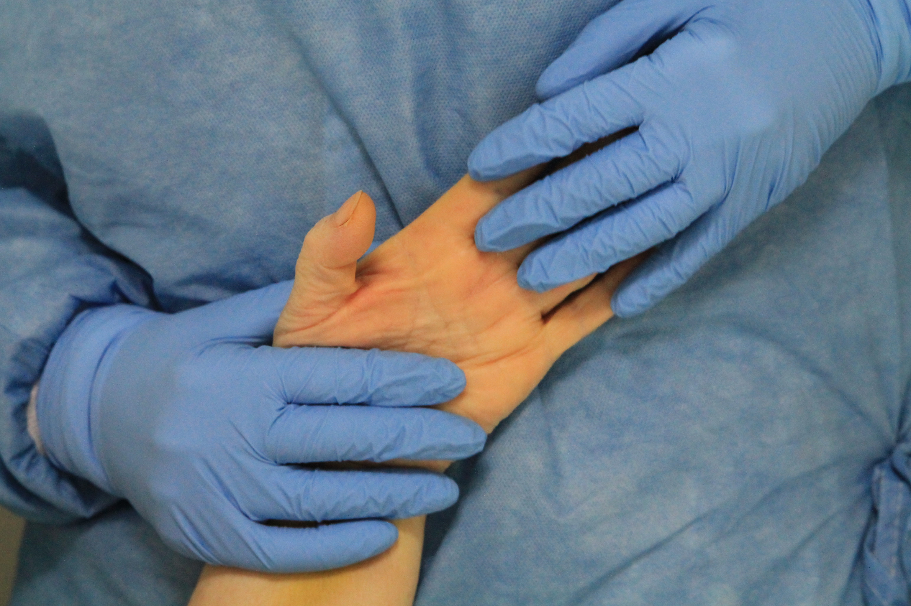 imagen de la noticia imagen de la noticia