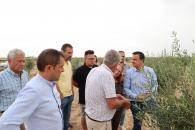 El consejero de Agricultura, Agua y Desarrollo Rural, se reúne con varios olivicultores en sus explotaciones para comprobar el estado de recuperación del olivar que se vio afectado por el temporal Filomena.