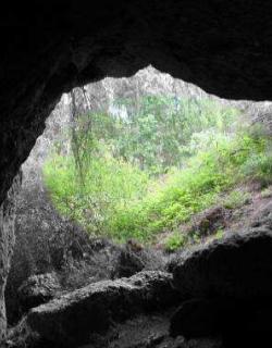 ZEC Cueva de los Morciguillos