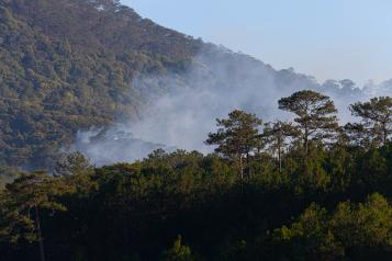 Proyecto de Decreto Prevención de Incendios Forestales