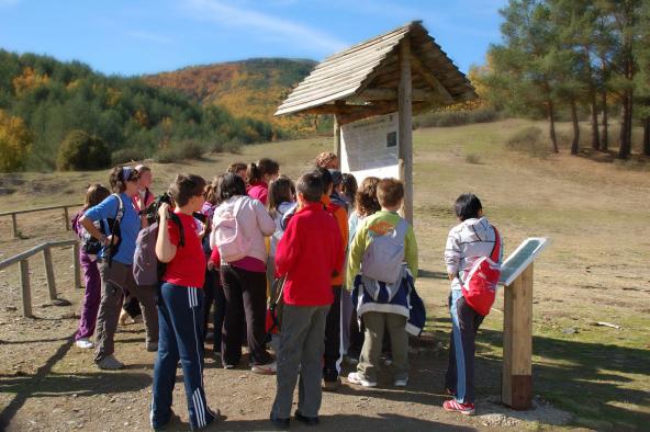 Educación Ambiental Educación Ambiental
