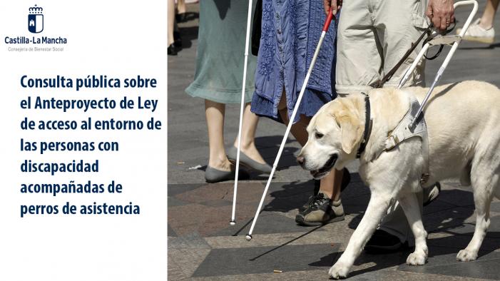 CONSULTA PUBLICA CONSULTA PUBLICA