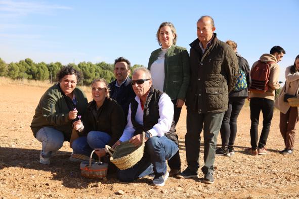 Castilla-La Mancha pone en valor el cultivo del azafrán, promocionando este producto excelente y su cultura